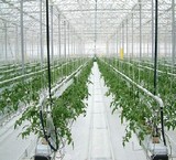 Design, build and implementation greenhouse. the greenhouse hydroponics in golestan