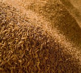 واردات ویژه سبوس و ارد دامی