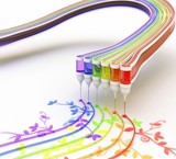 چاپ مستقیم برروی انواع CD, DVD(امین)