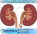 Specialized laboratory Dr. SamSam Shariat