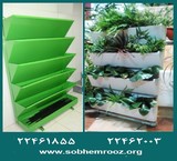 بام سبز و دیوار سبز