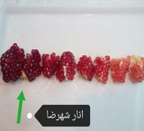 Selling and presenting the best super pomegranate for export, pomegranate for dehydration and concentrate and pomegranate of 1st, 2nd and 3rd grade $ 0101 r \ n We are from the gardens of Shahreza, Saveh, Neyriz and Kashmar. \ r \ n \ r \ nPomegranat