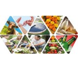 ضدعفونی کننده ی صنایع غذایی-فودا سیب (پر استیک اسید 15%)