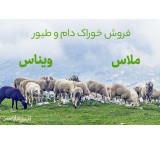 خرید ملاس ، فروش ملاس،فروش ویناس با قیمت مناسب در قزوین - تهران - اصفهان