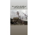 کالای خواب رویال شمس