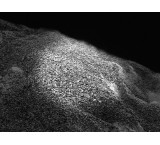 Compressed coal production line machine in installments Extraordinary sale