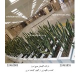 نگهداری فضای سبز
