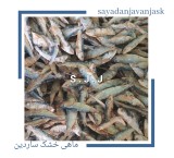 صادرات ماهی خشک جنوب