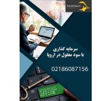 سرمایه گذاری با سود معقول در اروپا