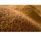 سبوس برنج 1401 در قزوین