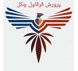 Specialized sales of American pheasants