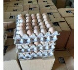 Wholesale sale of single-yolk and double-yolk local eggs