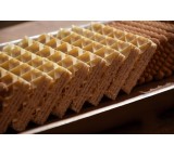 ویفر دنیای بیسکویت