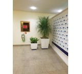 Office Green Space