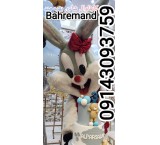 تن پوشهای عروسکی خرگوش و میکی و توییتی و پو و طرح های سفارشی بهره‌مند 09143093759