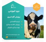 Training course on raising dairy cows and dairy heifers + visit