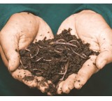 کود ورمی کمپوست