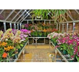 پلی کربنات RFX