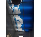False Ceiling