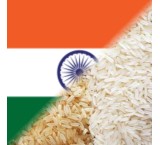 برنج هندی باسماتی و۱۱۲۱گلد