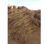 جارو شهرداری با دوام با ارتفاع بلند