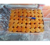 Exported Qaisy of Apricot leaves Qaisy