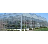 Steel structure/frame greenhouse