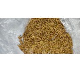 Alfalfa seeds