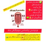 Free consultation of linguistics and temperament