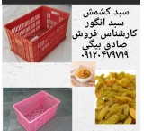 Badhhamal, Vangur raisin basket