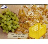 Production and sale of grape baskets, raisin baskets