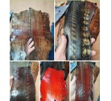 Sturgeon leather