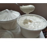 سس مایونز سفید خانگی (جشنواره ویژه عمده 235تومان)
